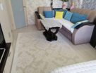 1-к. квартира, 37&nbsp;м²
