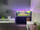 2-к. квартира, 53,1&nbsp;м²
