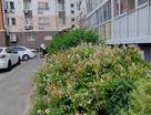 1-к. квартира, 40,1 м²