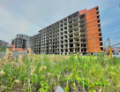 1-к. квартира, 50&nbsp;м²