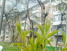 3-к. квартира, 54,6 м²