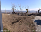 Участок (ижс), 5 сот.