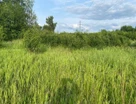 Участок (ижс), 16 сот.
