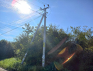 Участок (садоводство), 3,6 сот.