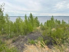 Участок (садоводство), 6,5 сот.