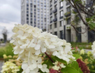 1-к. квартира, 44,7&nbsp;м²
