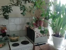 1-к. квартира, 31,5&nbsp;м²