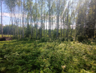 Участок (ижс), 14 сот.