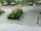 3-к. квартира, 64&nbsp;м²