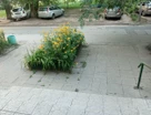 3-к. квартира, 64&nbsp;м²