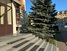 5-к. квартира, 277,1&nbsp;м²