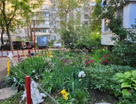 1-к. квартира, 33,1&nbsp;м²