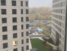 1-к. квартира, 53,5&nbsp;м²