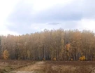 Участок (садоводство), 10,2 сот.
