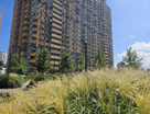 2-к. квартира, 54,6 м²