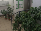 2-к. квартира, 68,6&nbsp;м²