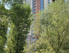 1-к. квартира, 56&nbsp;м²