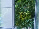 2-к. квартира, 44,3 м²