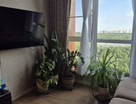 1-к. квартира, 40,2&nbsp;м²