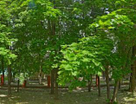 2-к. квартира, 45 м²