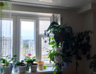 2-к. квартира, 45,2&nbsp;м²