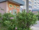 3-к. квартира, 92,5&nbsp;м²
