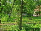 Участок (ижс), 9,1 сот.
