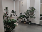 2-к. квартира, 79,2&nbsp;м²