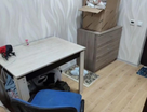 Студия, 14,2 м²