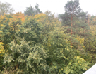 1-к. квартира, 35&nbsp;м²