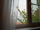 2-к. квартира, 27&nbsp;м²