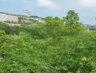 4-к. квартира, 75&nbsp;м²