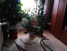 1-к. квартира, 43,9&nbsp;м²