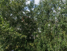 2-к. квартира, 50&nbsp;м²