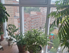 3-к. квартира, 90,8&nbsp;м²
