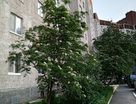 2-к. квартира, 53 м²