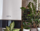 3-к. квартира, 52,5&nbsp;м²