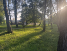 Участок (личное подсобное хозяйство), 13 сот.