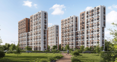 Новоград Павлино