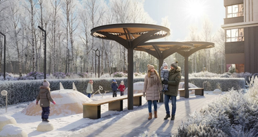 Лесная коллекция