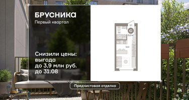 Студия, 21 м²