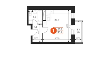 Студия, 30&nbsp;м²