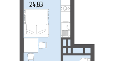 Студия, 24&nbsp;м²
