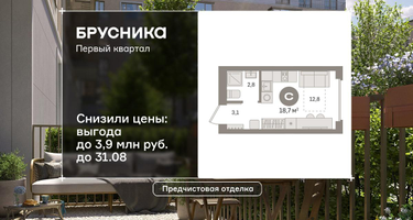 Студия, 18 м²