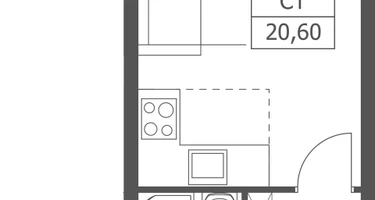 Студия, 20&nbsp;м²