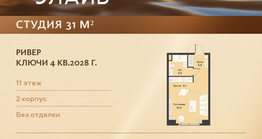 Студия, 31 м²