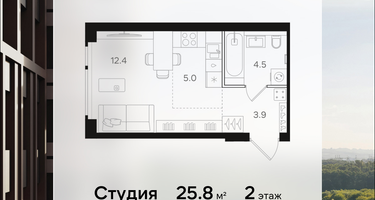 Студия, 25&nbsp;м²