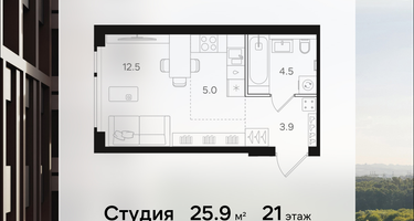 Студия, 25&nbsp;м²