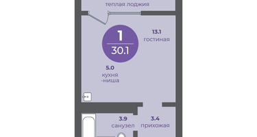 1-к. квартира, 30 м²