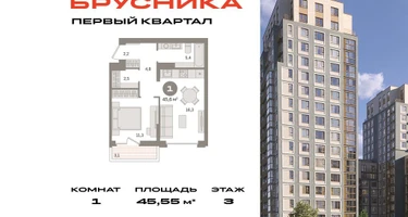 1-к. квартира, 45&nbsp;м²